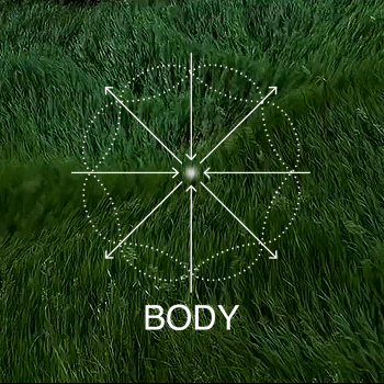 strength & body recomposition